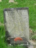 image of grave number 313707
